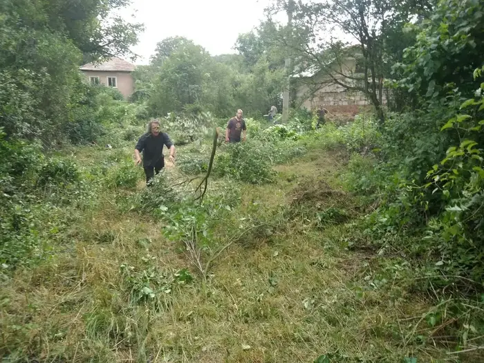 Вашият двор е нашата мисия за чистота!