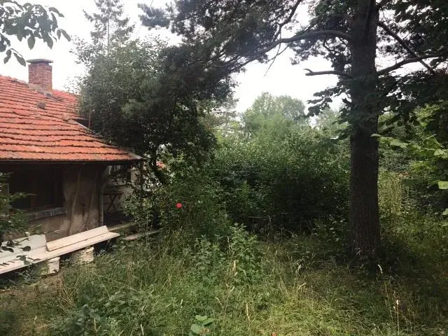 Значението на здравата почва за красив двор