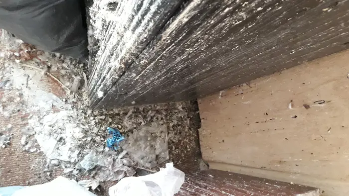 Специфика на работата по почистване след гълъби